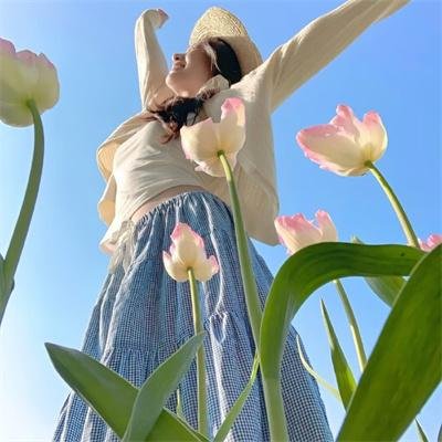 芝加哥警署第九季