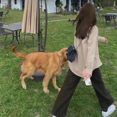 辣妹我爱你